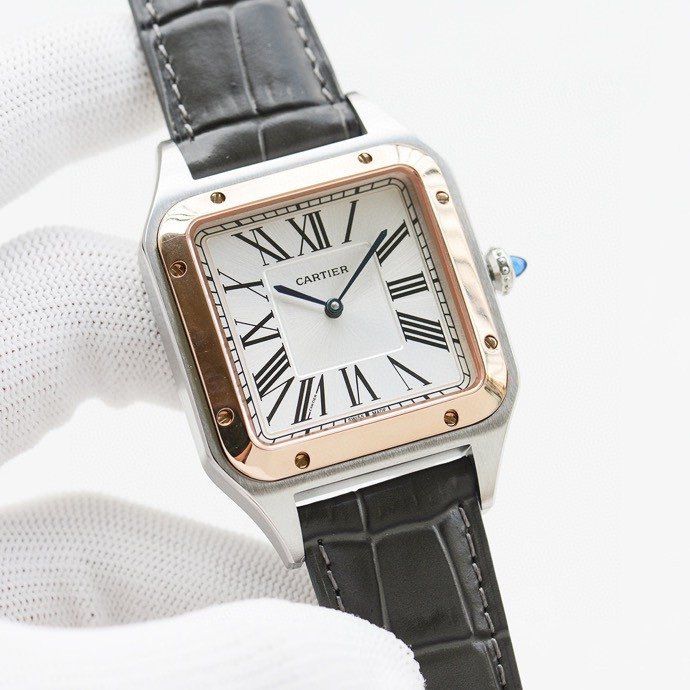 Cartier Watch CTW00018-3