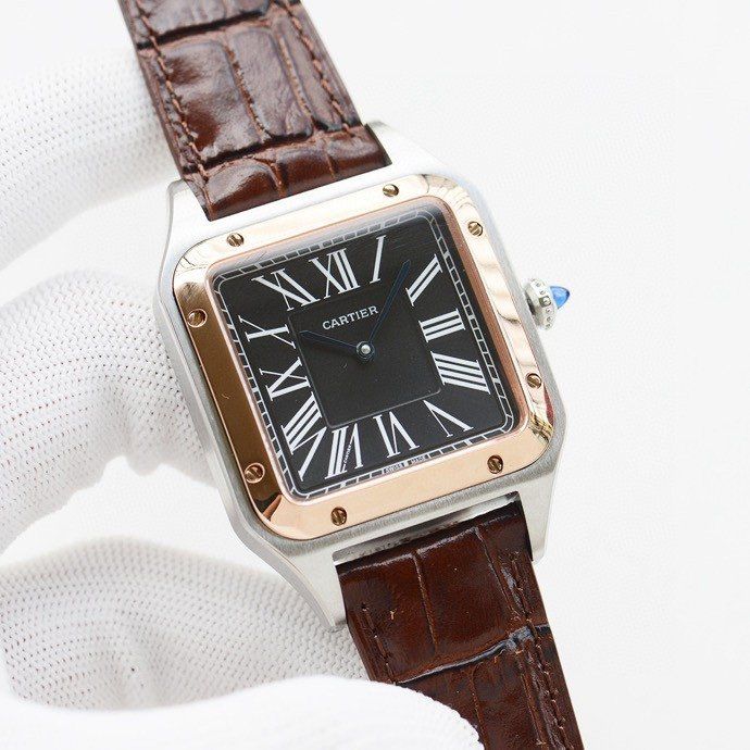 Cartier Watch CTW00018-4