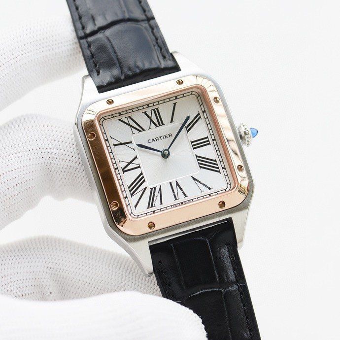 Cartier Watch CTW00018-6