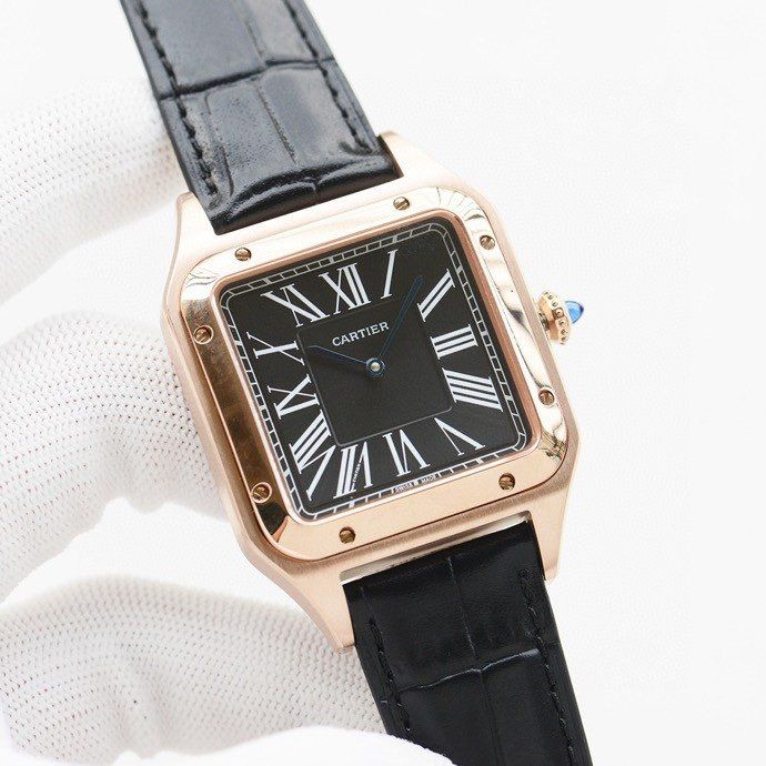 Cartier Watch CTW00019-2