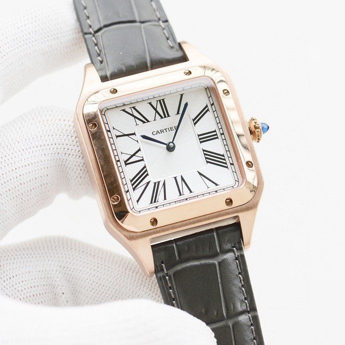 Cartier Watch CTW00019-5