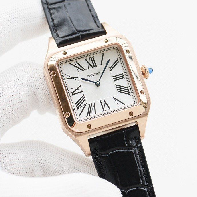 Cartier Watch CTW00019-6