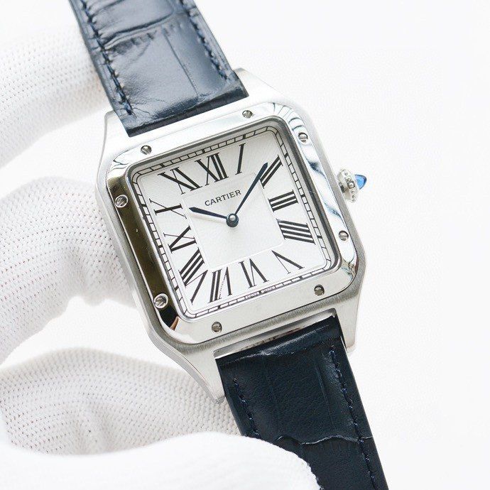 Cartier Watch CTW00020-2