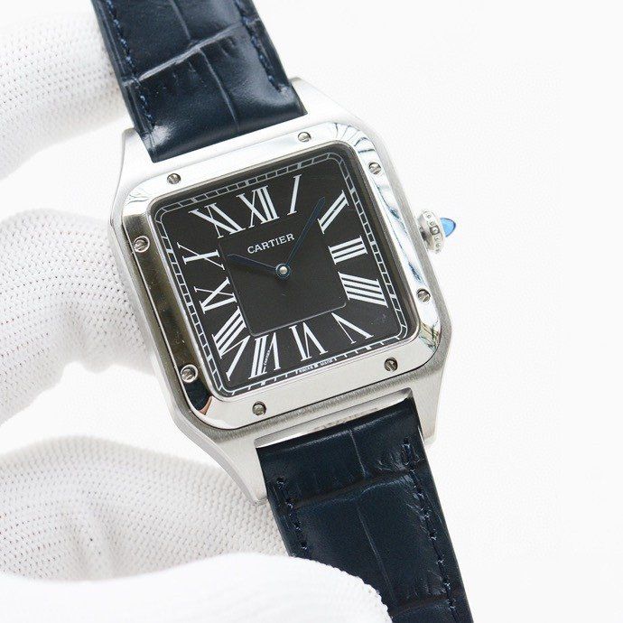 Cartier Watch CTW00020-3