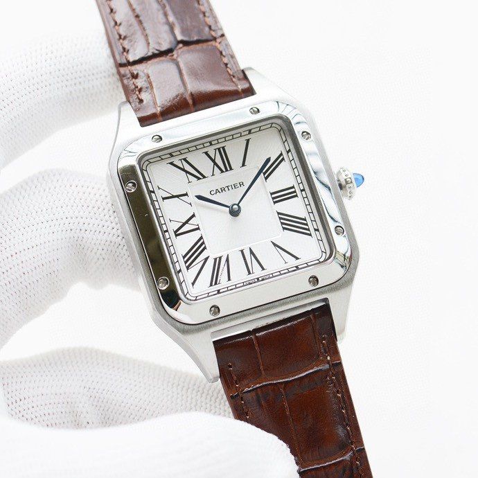 Cartier Watch CTW00020-5