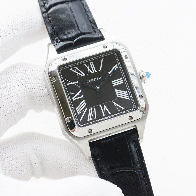 Cartier Watch CTW00020-6
