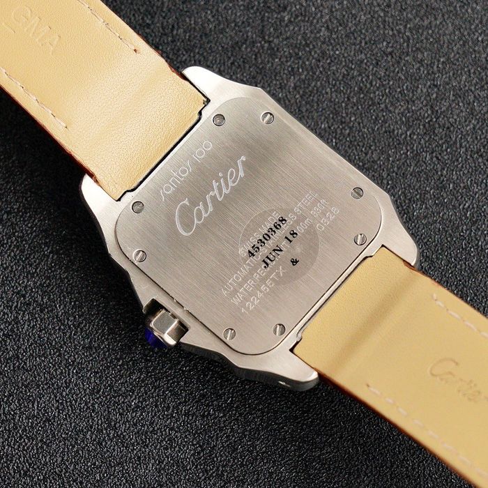 Cartier Watch CTW00034-1