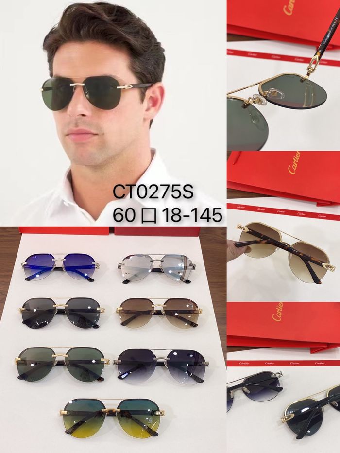 Cartier Sunglasses Top Quality CAS00023