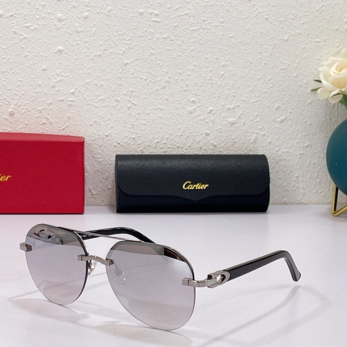Cartier Sunglasses Top Quality CAS00038