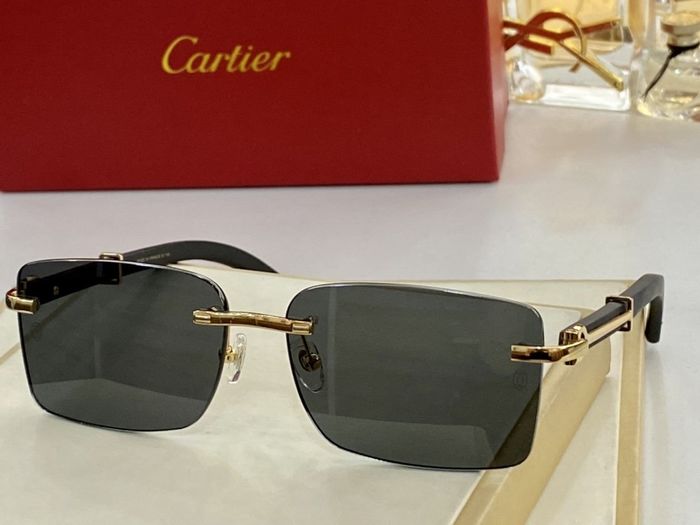 Cartier Sunglasses Top Quality CAS00051