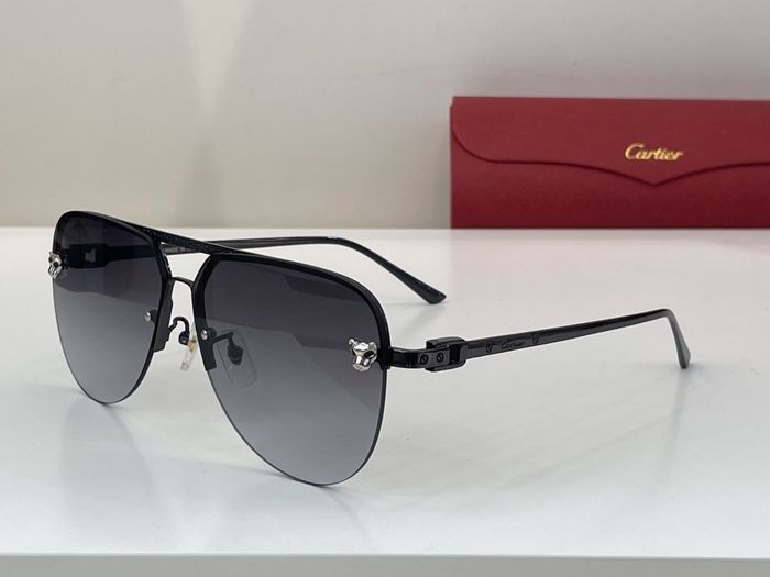 Cartier Sunglasses Top Quality CAS00100