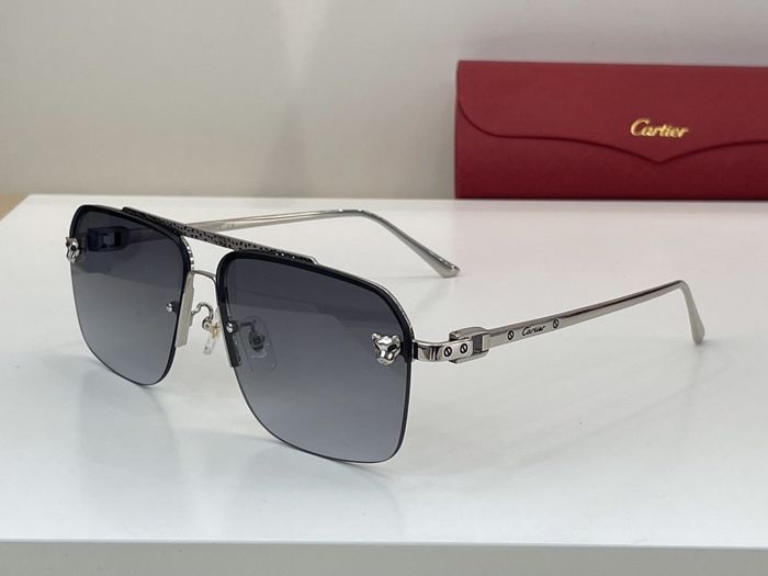 Cartier Sunglasses Top Quality CAS00101