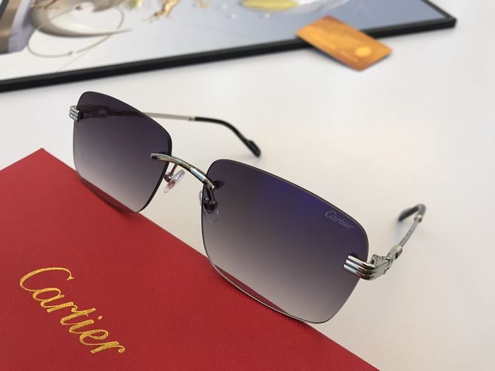 Cartier Sunglasses Top Quality CAS00102