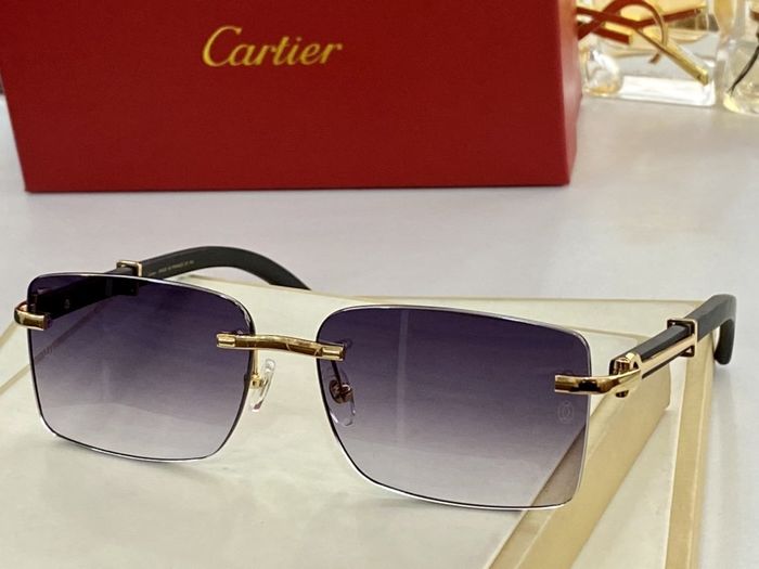 Cartier Sunglasses Top Quality CAS00135