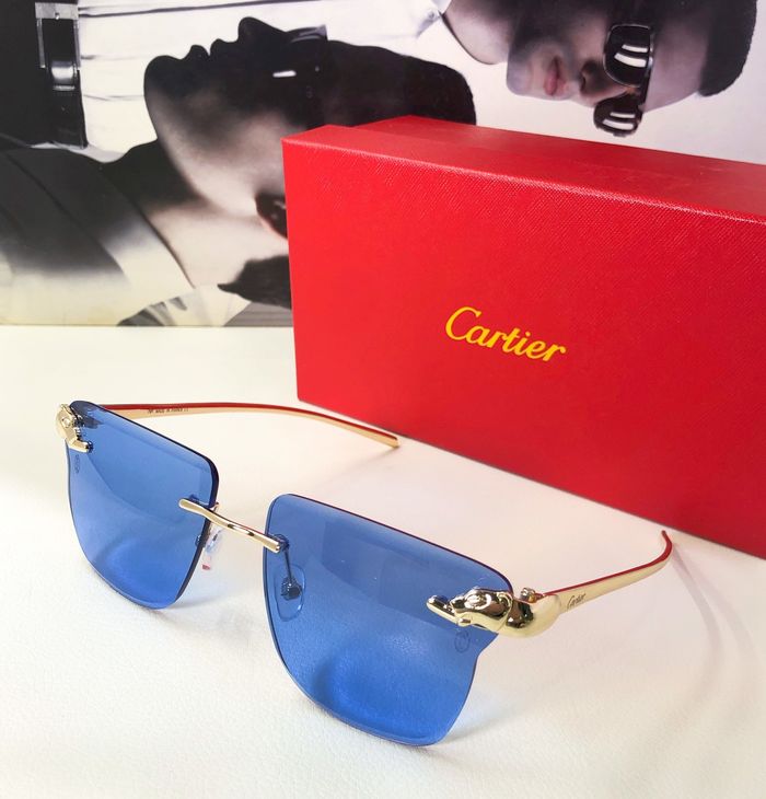 Cartier Sunglasses Top Quality CAS00156