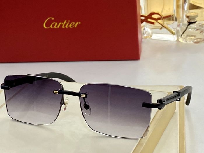 Cartier Sunglasses Top Quality CAS00177