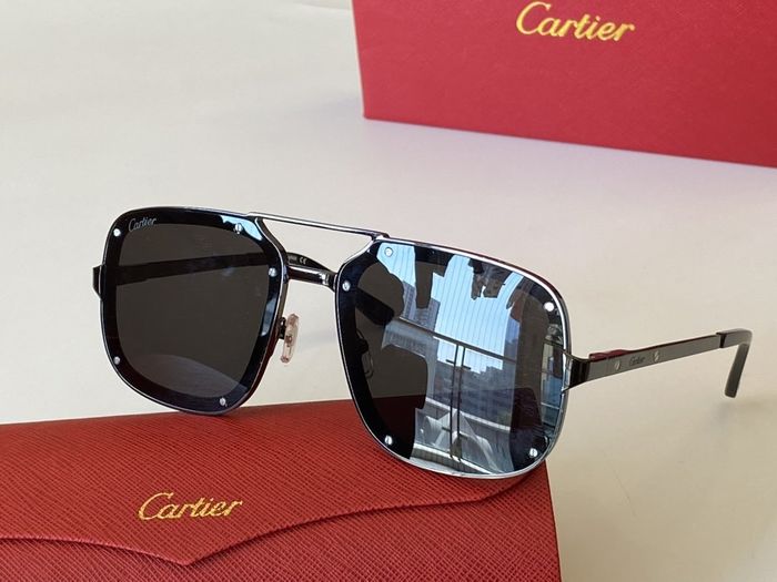 Cartier Sunglasses Top Quality CAS00213