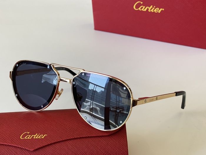 Cartier Sunglasses Top Quality CAS00214
