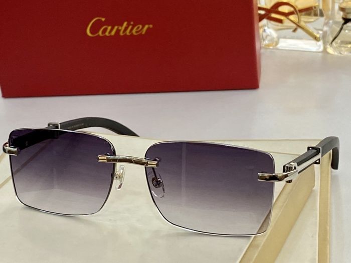 Cartier Sunglasses Top Quality CAS00219