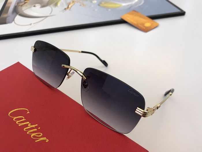 Cartier Sunglasses Top Quality CAS00228