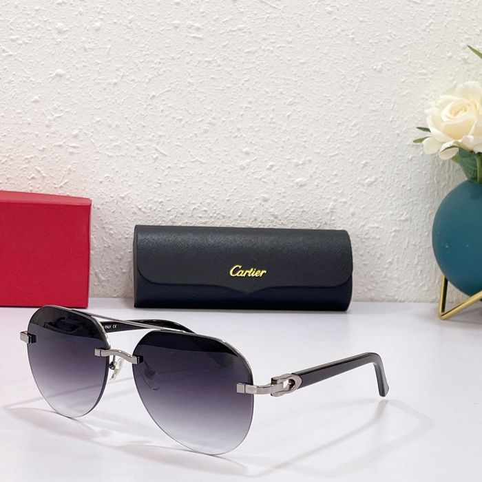 Cartier Sunglasses Top Quality CAS00252