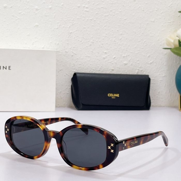 Celine Sunglasses Top Quality CES00066