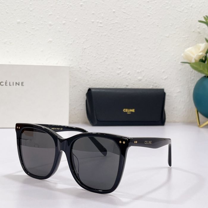 Celine Sunglasses Top Quality CES00073