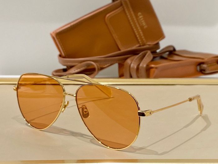 Celine Sunglasses Top Quality CES00101