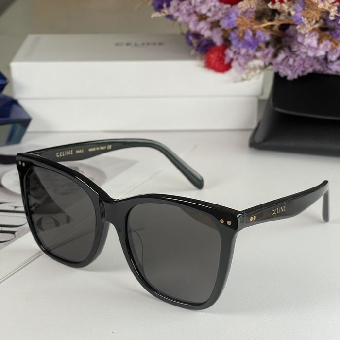 Celine Sunglasses Top Quality CES00118