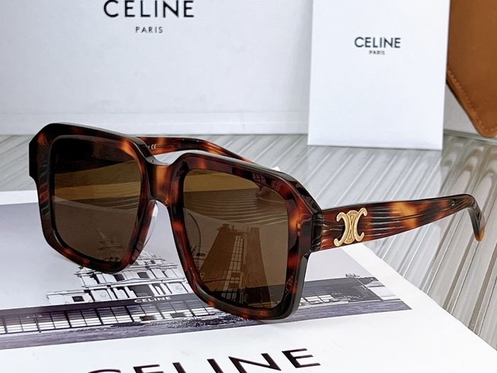 Celine Sunglasses Top Quality CES00142