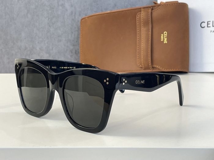 Celine Sunglasses Top Quality CES00170