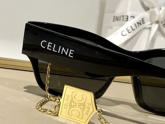 Celine Sunglasses Top Quality CES00179
