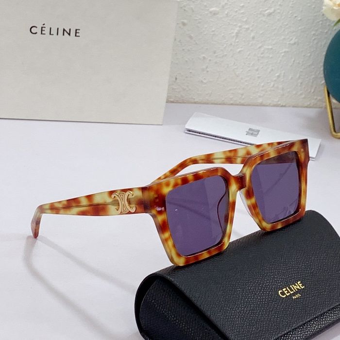 Celine Sunglasses Top Quality CES00184
