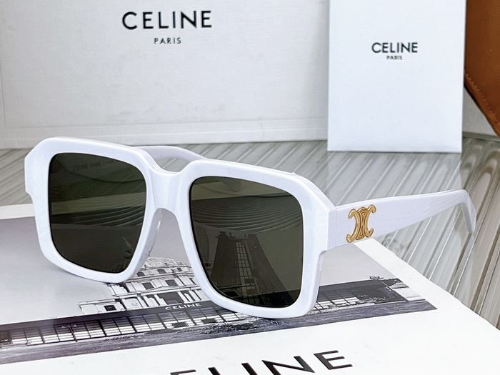 Celine Sunglasses Top Quality CES00185