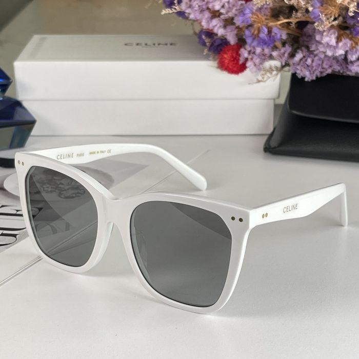 Celine Sunglasses Top Quality CES00204