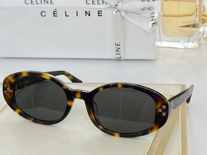Celine Sunglasses Top Quality CES00210
