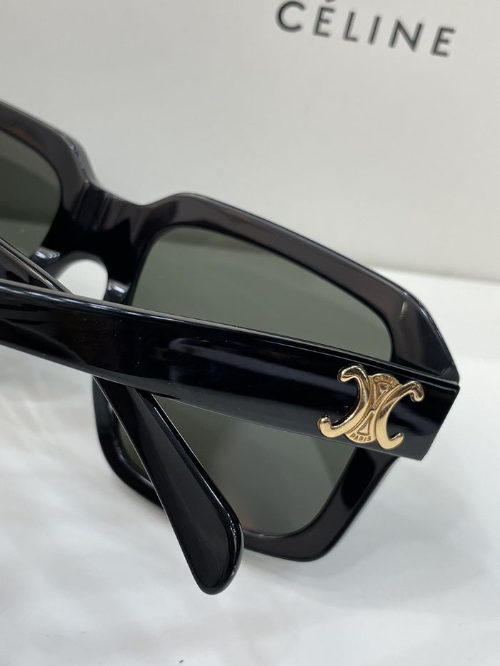 Celine Sunglasses Top Quality CES00236