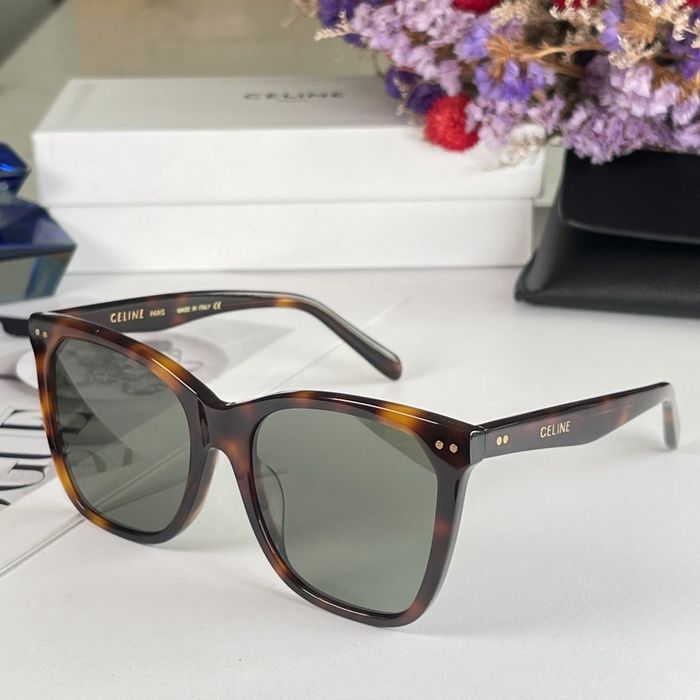 Celine Sunglasses Top Quality CES00247