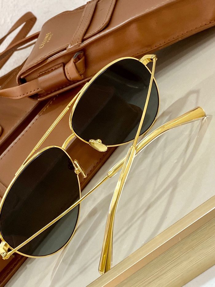 Celine Sunglasses Top Quality CES00273
