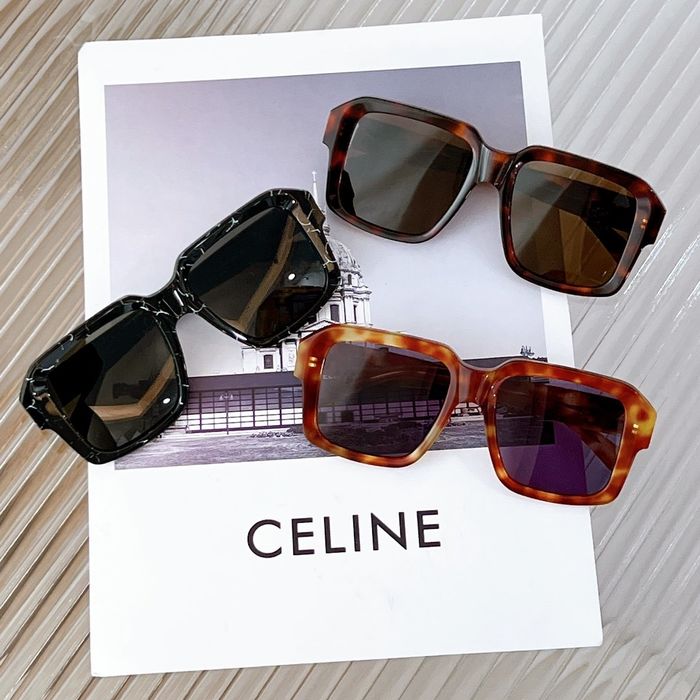 Celine Sunglasses Top Quality CES00355
