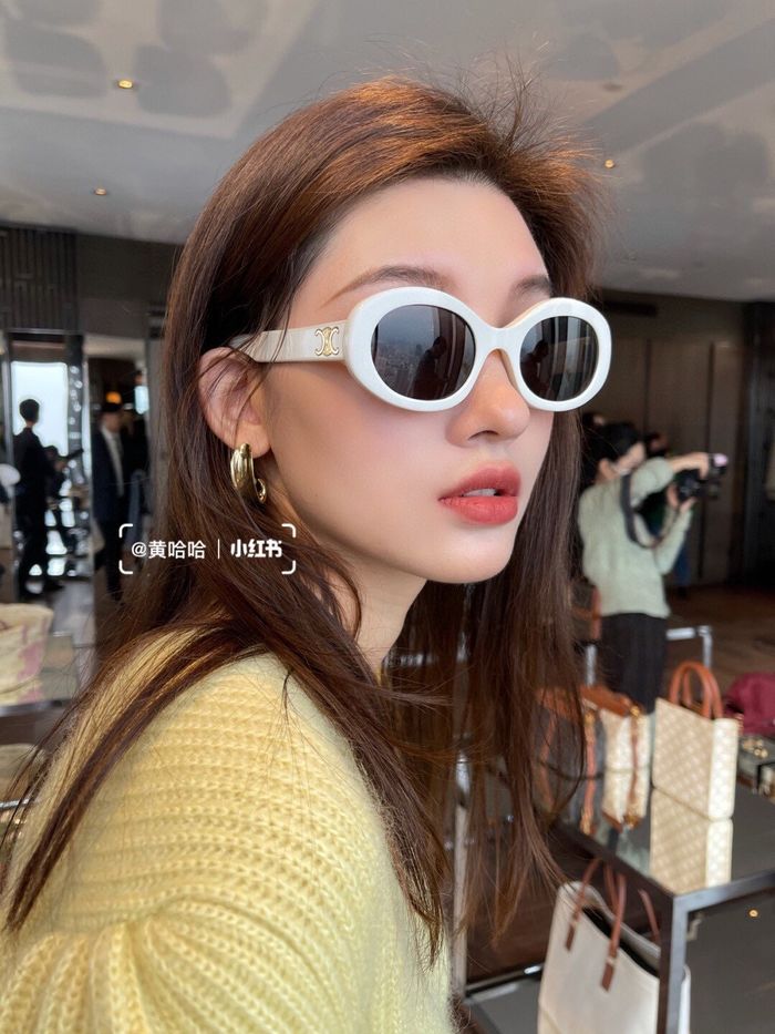 Celine Sunglasses Top Quality CES00370