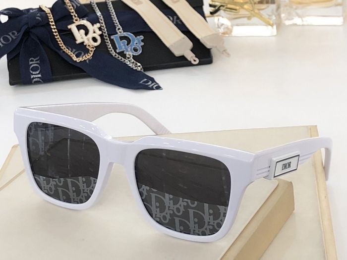 Dior Sunglasses Top Quality DIS00020
