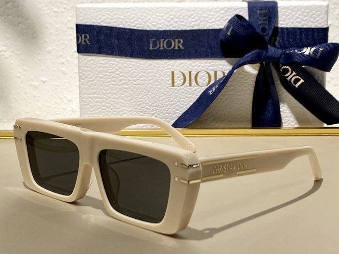 Dior Sunglasses Top Quality DIS00055