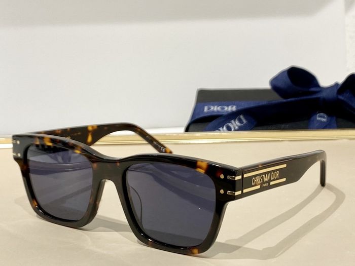 Dior Sunglasses Top Quality DIS00056