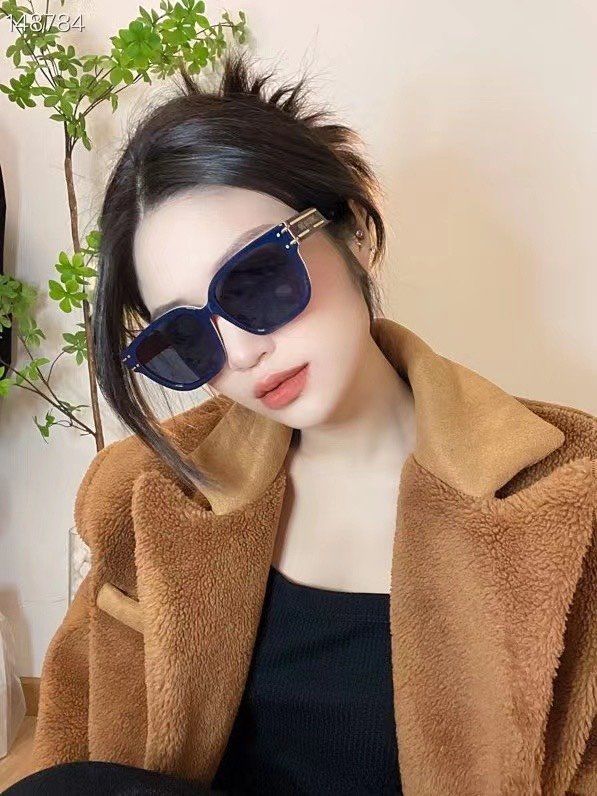 Dior Sunglasses Top Quality DIS00061