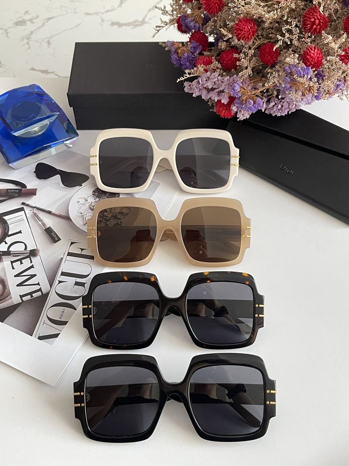 Dior Sunglasses Top Quality DIS00089