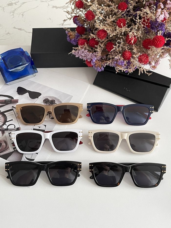Dior Sunglasses Top Quality DIS00112