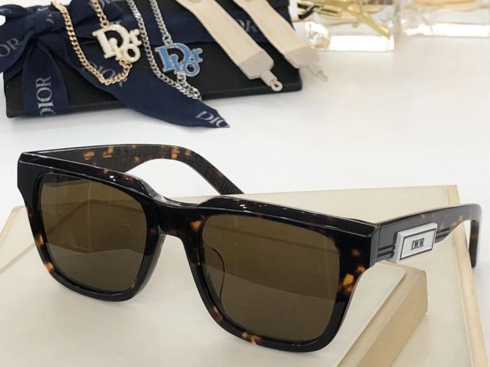 Dior Sunglasses Top Quality DIS00143