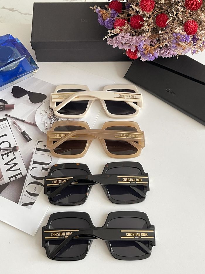 Dior Sunglasses Top Quality DIS00212