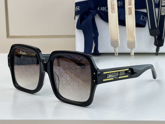 Dior Sunglasses Top Quality DIS00219